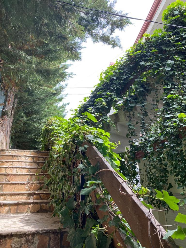 The Olives Terrace Residences Dhërmi Екстериор снимка