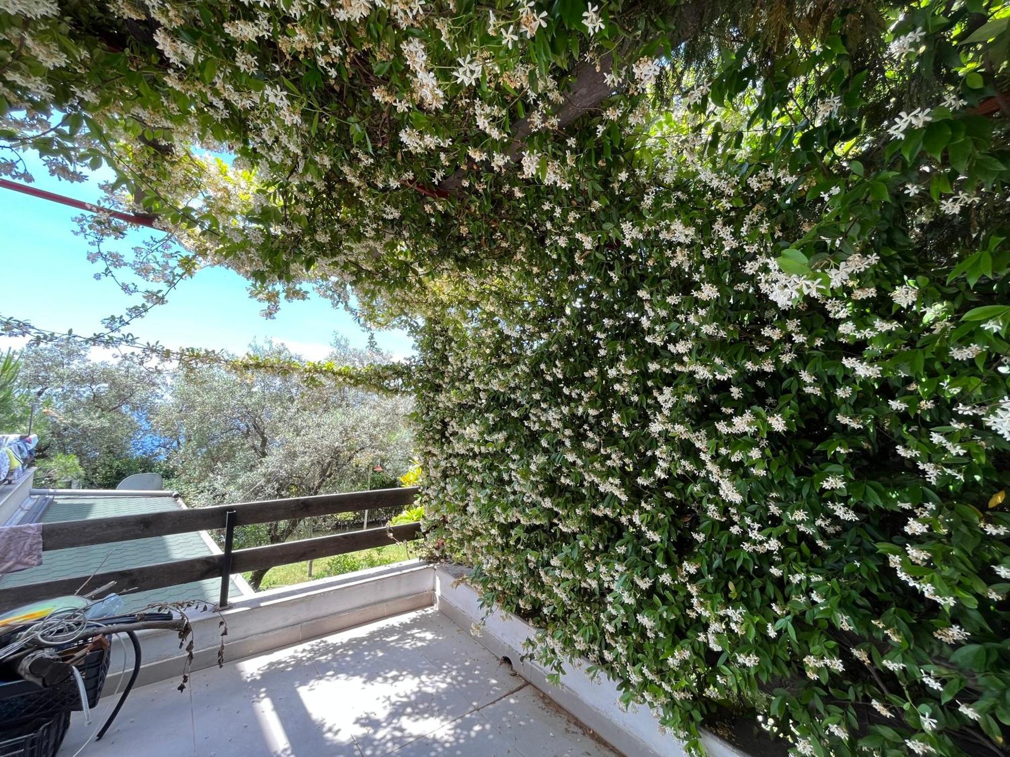 The Olives Terrace Residences Dhërmi Екстериор снимка